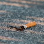 steady learning habits