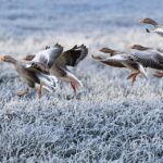 disciplined study approach